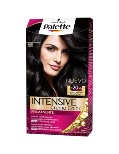 PALETTE INTENSE TINTE Nº 1 NEGRO