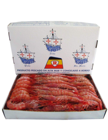 GAMBA ROJA A-2  3 CARABELAS TAPA BLANCA PRECIO KG  