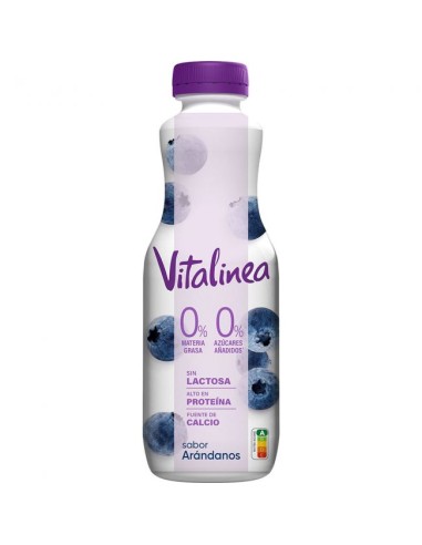 VITALINEA BEBIBLE ARANDANOS X 1