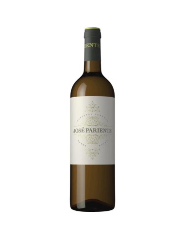 VINO BLANCO JOSE PARIENTE VERDEJO