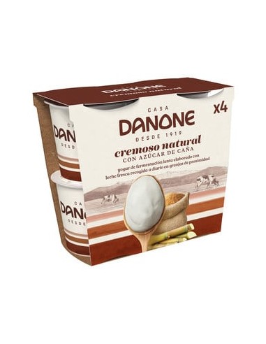 DANONE DE AZUCAR DE CAÑA INTEGRAL X 4