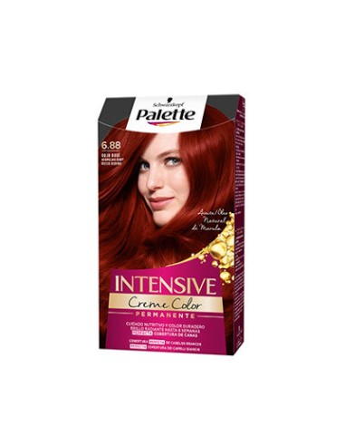 PALETTE INTENSIVE TINTE N.6,8