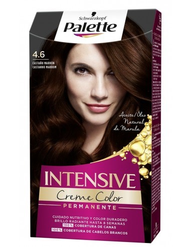 PALETTE INTENSIVE TINTE N.4,6