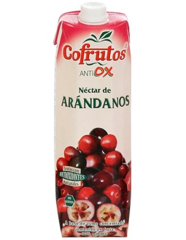 NECTAR COFRUTOS ANTIOXID ARANDANOS BRICK 1 L