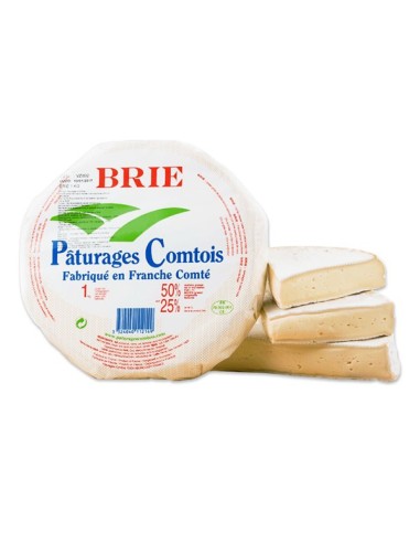 QUESO BRIE PATURAGES