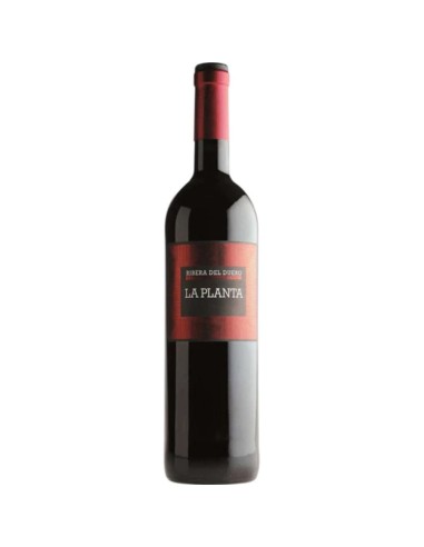 VINO ARZUAGA LA PLANTA RIBERA DUERO 