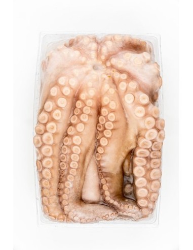 PULPO EXTRA 5/6  PRECIO DEL KG 