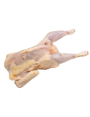 GALLINAS PEQUEÑAS EL KG SALE A :