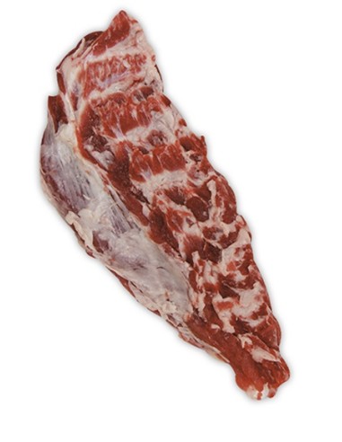 PLUMA DE LOMO IBERICA 