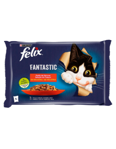 COMIDA GATOS FELIX TASTY CARNE PK-4 X 80