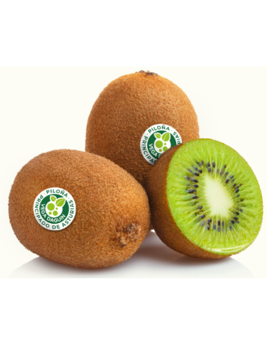 KIWI ASTURIANO (ENV. 1 MANTO)