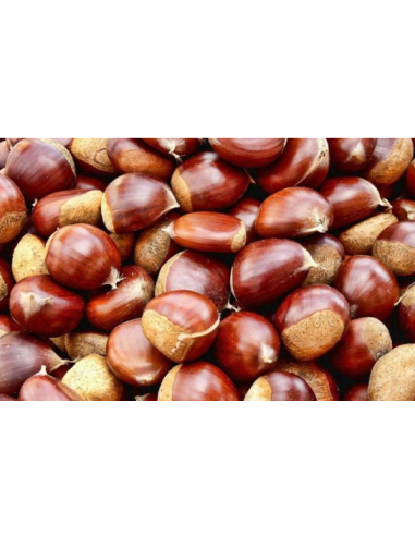 CASTAÑAS