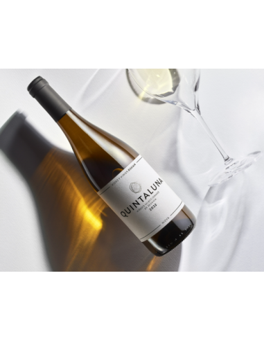VINO BLANCO QUINTA LUNA ( PAGO DE CARRAOVEJAS)  75 CL