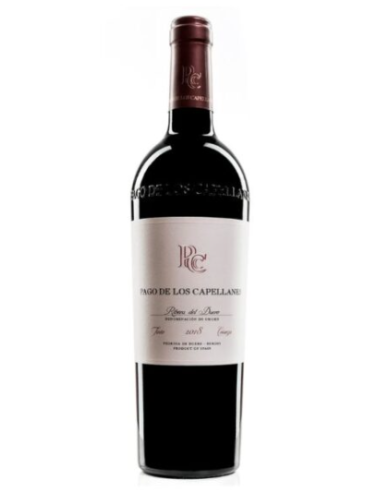 VINO PAGO CAPELLANES CRZA 75 CL