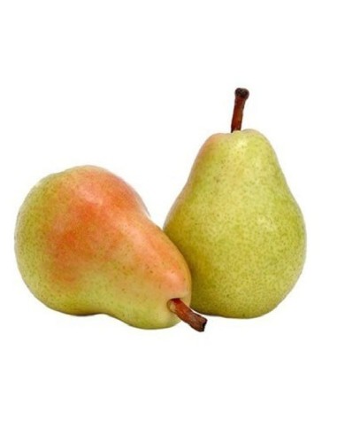 PERA ERCOLINA IMPORTACION