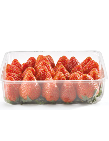 FRESA (ENV. BANDEJA 0.500 GRS)