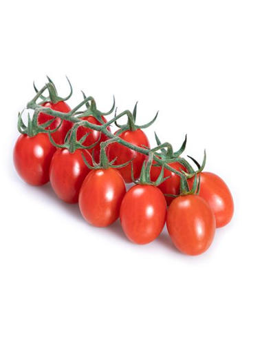TOMATE PERA (CON RAMILLETE)