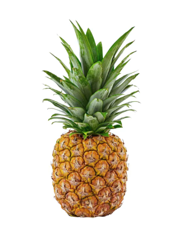 PIÑA  COLOR 