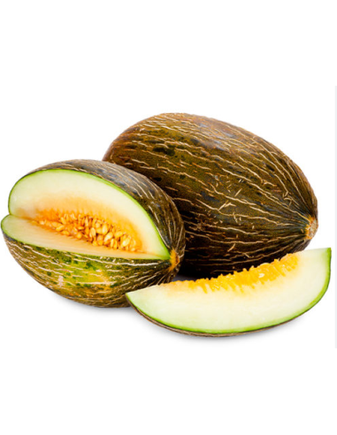 MELON PIEL DE SAPO (ENV. GRANEL MINIGREE