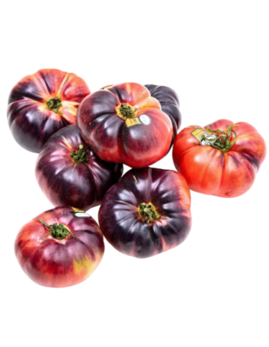 TOMATE AZUL