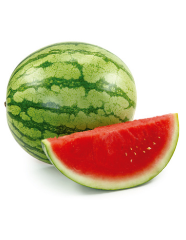 SANDIA BLANCA (ENVA. ENCAJADA)