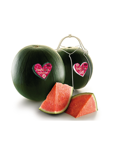 SANDIA FASHION S/PEPITA (ENVA. ENCAJADA)
