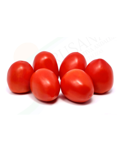 TOMATE PERA