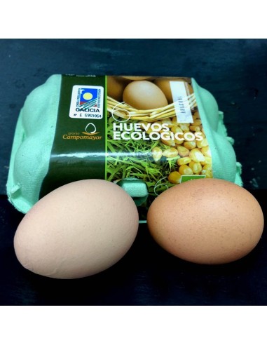 HUEVOS ECOLOGICOS 6 UNID.