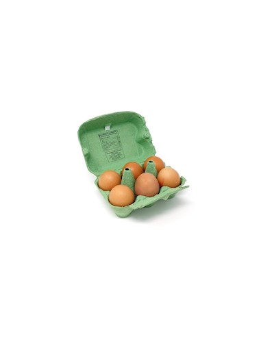 HUEVOS L 6 UNIDADES