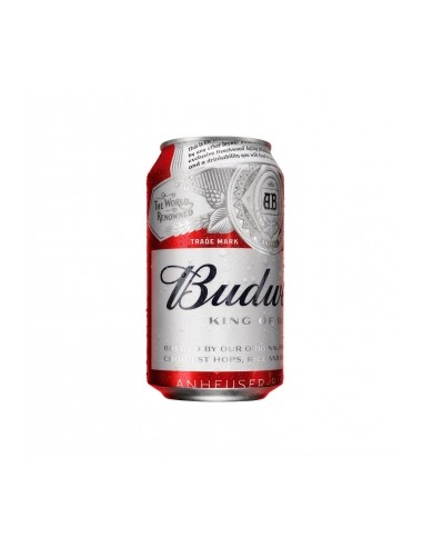 CERVEZA SKOL LATA 33 CL.