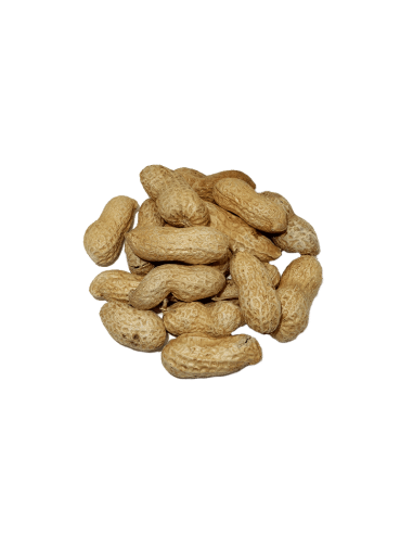 CAHUETES CASCARA GORDO TOSTADO CON SAL  220 GR.