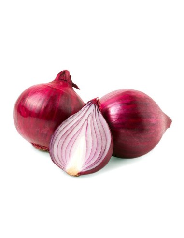CEBOLLA MORADA