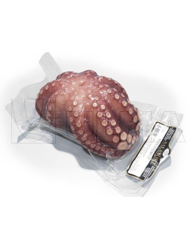PULPO ROQUERO FLOR AL VACIO FRIPOZO EL KILO SALE A : 