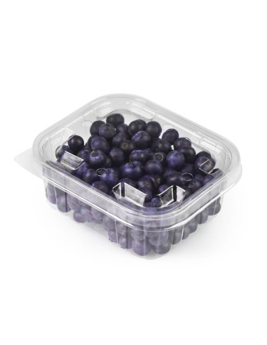 ARANDANOS BANDEJA 125 GRS