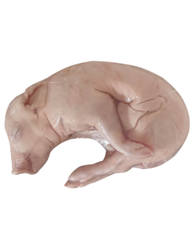 COCHINILLO