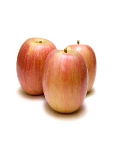 MANZANA FUJI (ENVA. EN 1 CAPA)
